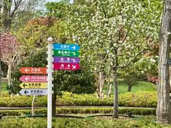 -青岛鑫江温德姆酒店