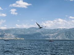-西昌邛海湿地