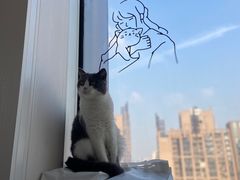 -Catmate·猫肥家润(金润铂宫店)