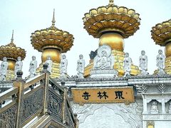 -上海东林寺(金山区)