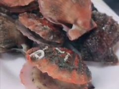 -鑫海汇海鲜烤肉自助(北国商城店)