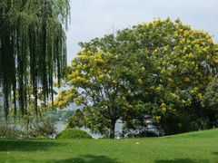 -云龙湖旅游景区