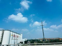 -大兴滨河森林公园