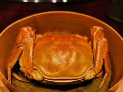 -彩丰楼·中餐厅(国家会展中心上海洲际店)