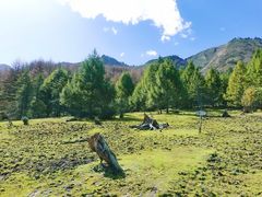 -硗碛藏寨·神木垒景区