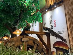-大理董·董家小厨野生菌火锅(古城旗舰店)