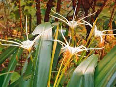 -共青国家森林公园-南大门停车场