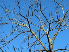 -南山风景名胜区