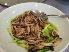 -新光酒家·河豚·海鲜·蟹料理(浦东店)