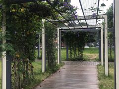 -四川大学(望江校区)