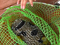 -蓝湾碧波·老字号·疍家非遗海上餐厅
