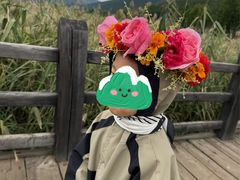 -泸沽湖国家级风景名胜区走婚桥