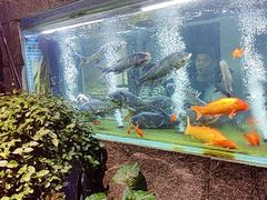 -又见炊烟私房菜(敬亭路店)