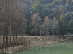 -天花井景区