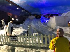 -世界之窗阿尔卑斯冰雪世界