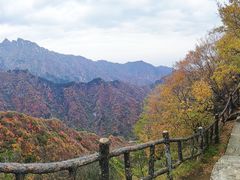-秦岭终南山世界地质公园翠华山景区