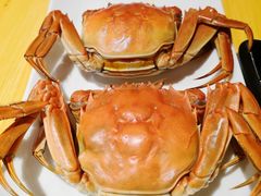 -恋铁板烧(阳光新生活广场店)