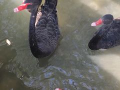 -长兴太湖图影湿地文化园