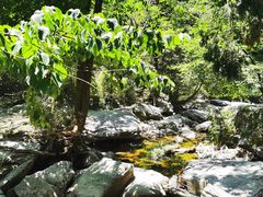 -庐山风景区花径公园