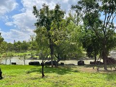 -狼山风景名胜区