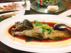 -宝燕壹号(徐汇店)