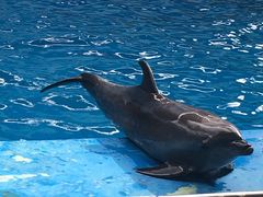 -石林冰雪海洋世界