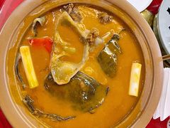 红煨甲鱼-潇湘甲鱼村(清河店)