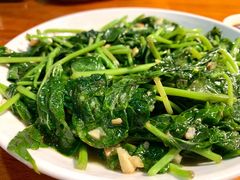 清炒时蔬-南蚝小贝海鲜特色餐厅(南澳岛店)