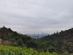 -火炉山森林公园