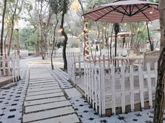 -陶缘一号·四季缘·老字号顺德菜·户外婚礼家宴(西滘店)