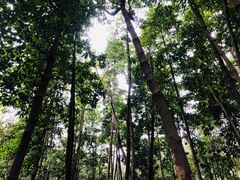 -云溪植物园