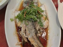 -御同亨酒楼·喜宴