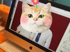 -爱定格照相馆.证件照(周浦万达店)