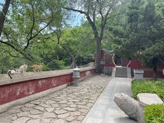 -天津盘山风景名胜区