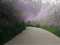 -南戴河国际娱乐中心