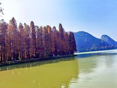 -星湖旅游景区七星岩