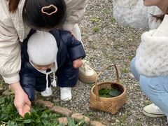 -九善农植有机生活农场
