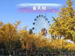 -赭山公园