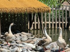 -荷塘味道(水长城店)
