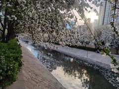 -海棠花溪(元大都城垣遗址公园)