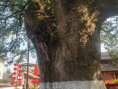 -新安江山水画廊风景区
