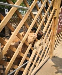 -萌宠亲子动物乐园(槐房万达店)