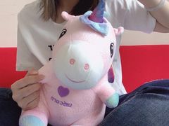 -PAWTOY爪e玩偶店(天兴罗斯福店)