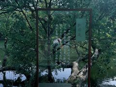 -台州府城(东湖)