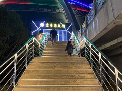 -丁老爷子苏香圆