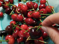 -家辉生鲜超市(东五路店)