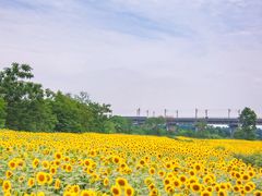 -关你鬼室大型密室逃脱(佛山创意园店)