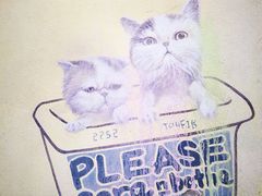 -槟城街头艺术街区