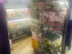 -花鸟鱼虫鲜花绿植市场(玉泉路店)