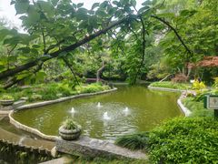 -上海瑞金洲际酒店